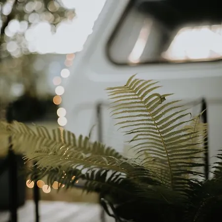 Szumlisko Glamping N1 Camping *