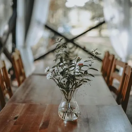 Szumlisko Glamping Szumlin